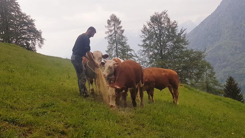 Biobetrieb-Eliesenhof, Familie Springl