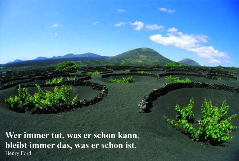 Dirk Drechsler e.U.